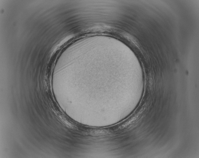 X0000062601018200601181559