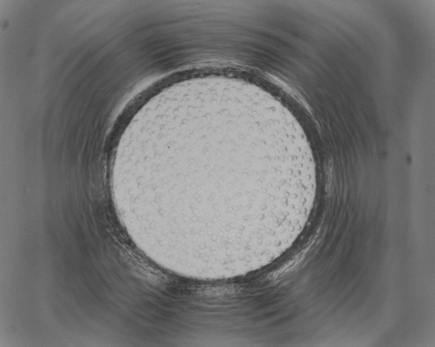 X0000062601021200601181559