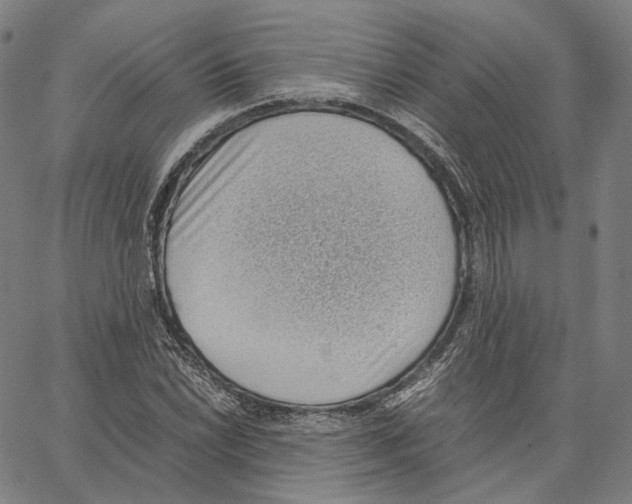 X0000062601022200601181559