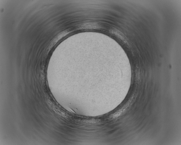 X0000062601025200601181559