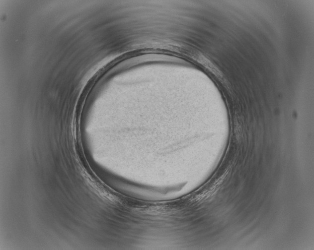 X0000062601028200601181559