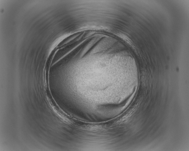 X0000062601030200601181559