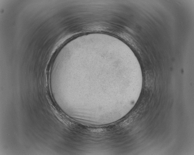 X0000062601031200601181559