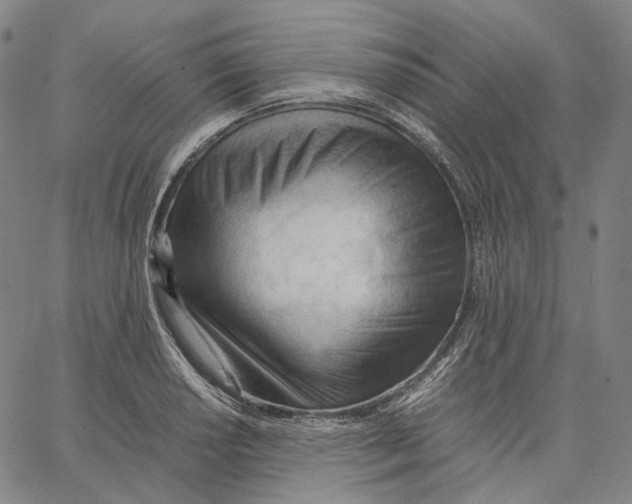 X0000062601034200601181559