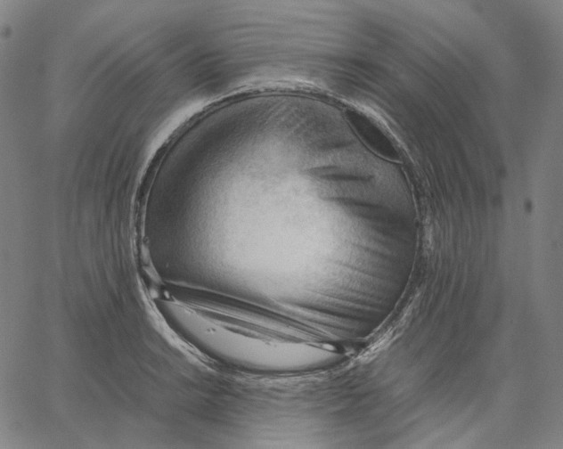 X0000062601038200601181559