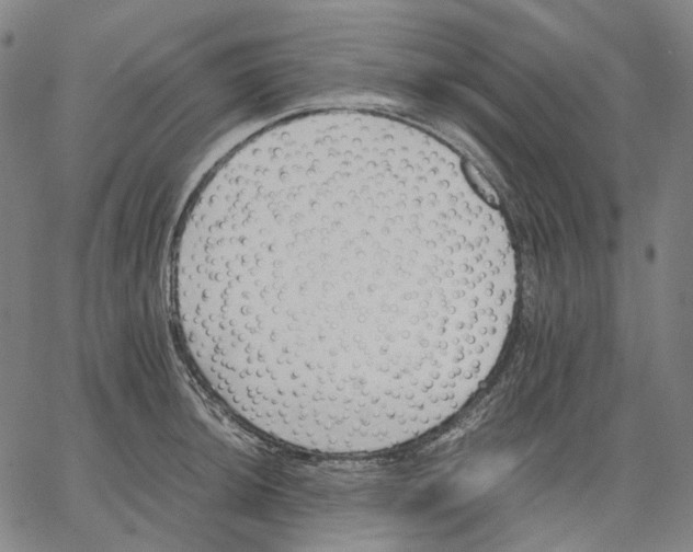 X0000062601044200601181559