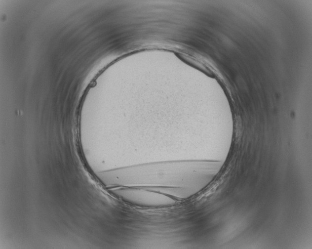 X0000062601048200601181559