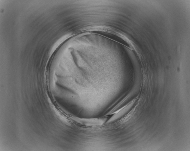 X0000062601050200601181559