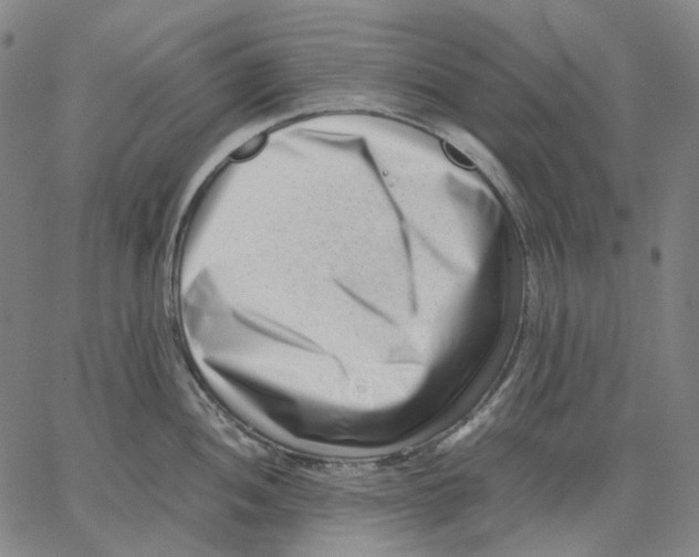 X0000062601052200601181559