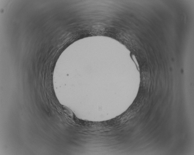 X0000062601057200601181559