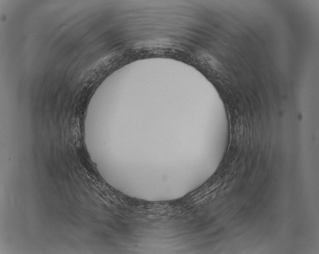 X0000062601062200601181559