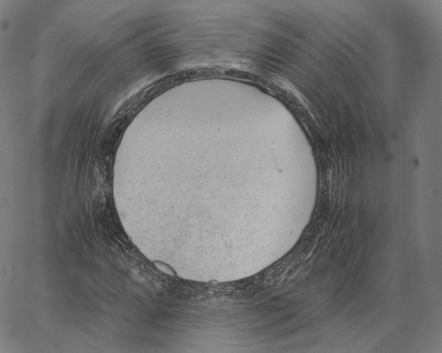 X0000062601064200601181559