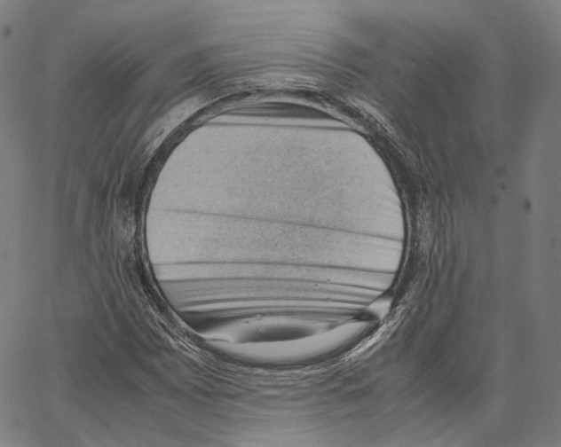 X0000062601065200601181559