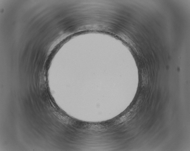 X0000062601070200601181559