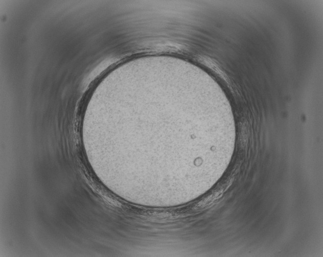 X0000062601071200601181558