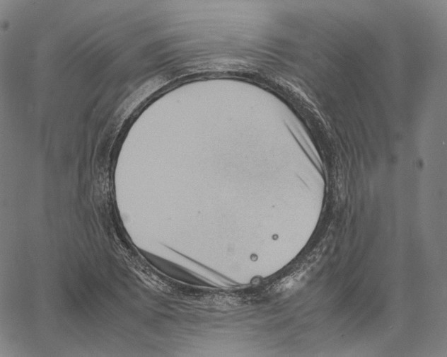 X0000062601073200601181558