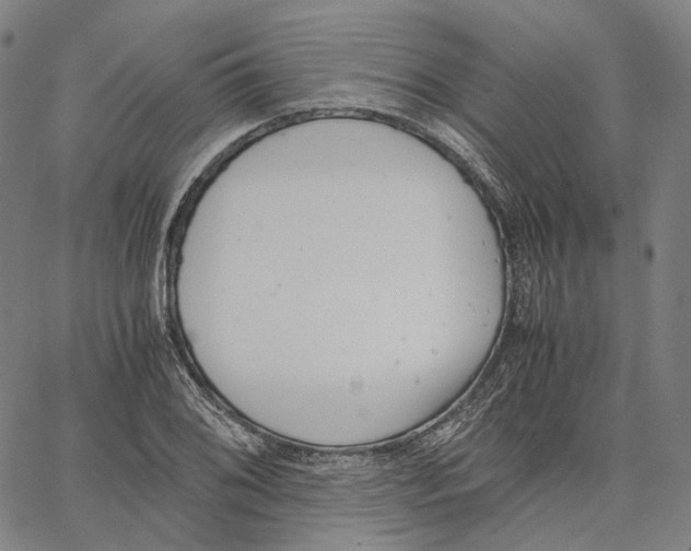 X0000062601076200601181558