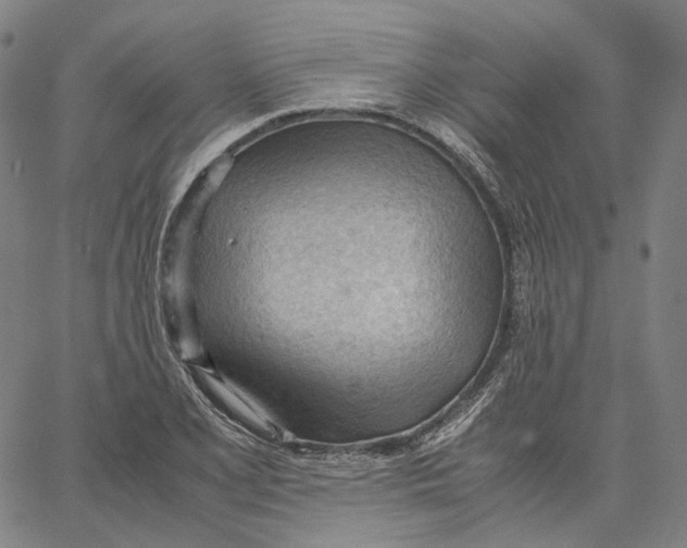X0000062601077200601181558