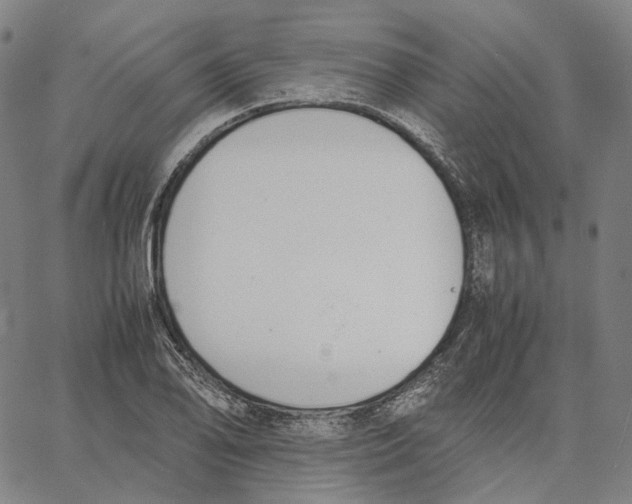 X0000062601078200601181558