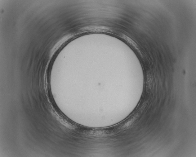 X0000062601082200601181558