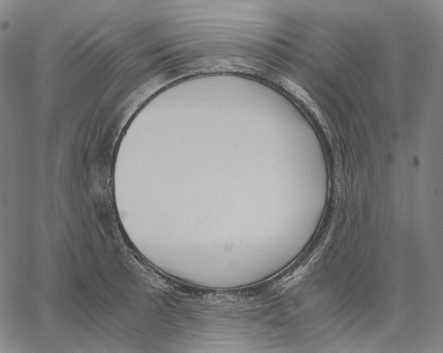 X0000062601089200601181558