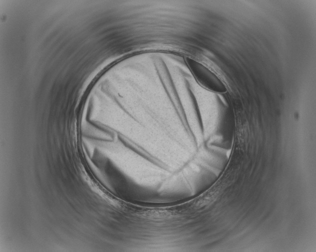 X0000062601092200601181558