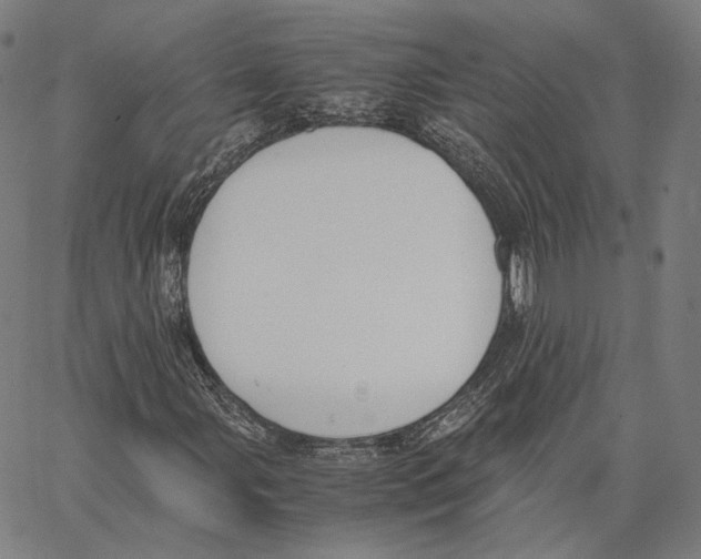 X0000062601107200601181557