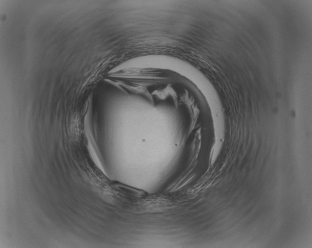 X0000062601108200601181557