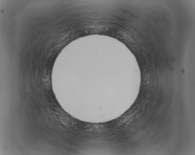 X0000062601109200601181557