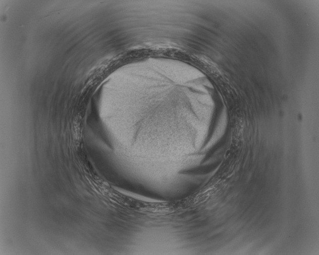 X0000062601110200601181557