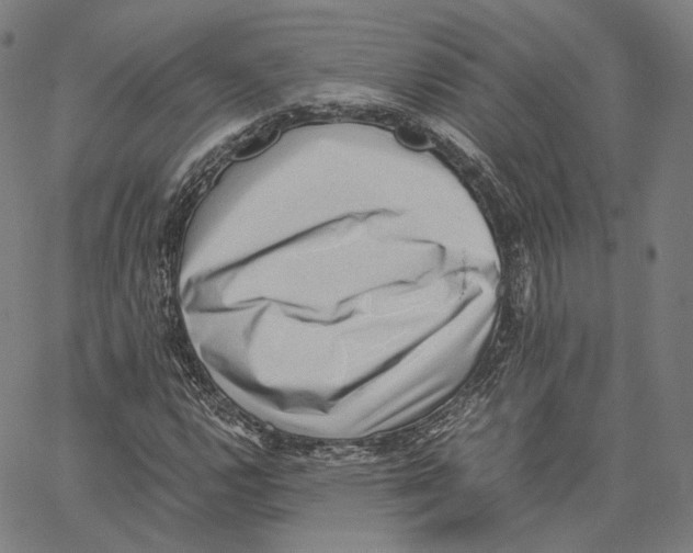 X0000062601112200601181557