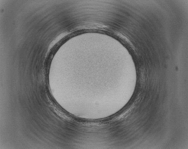 X0000062601114200601181557