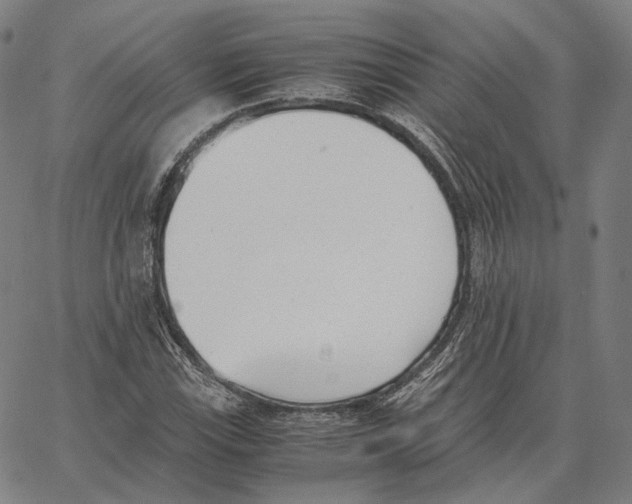 X0000062601115200601181557