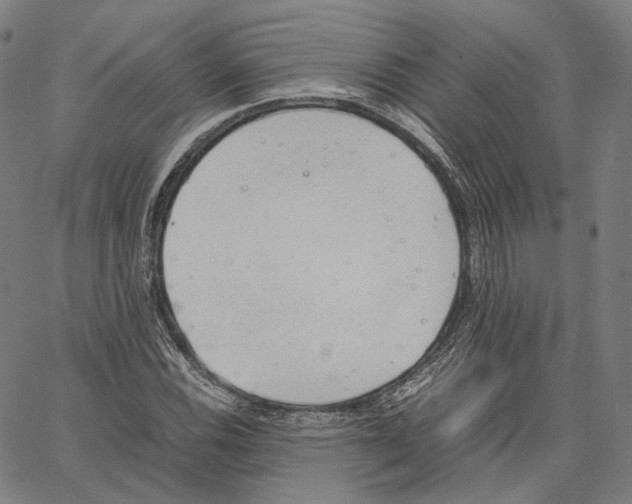 X0000062601116200601181557