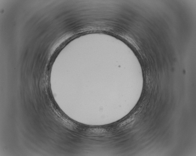 X0000062601119200601181557