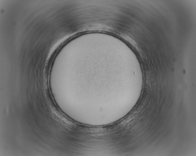 X0000062601120200601181557