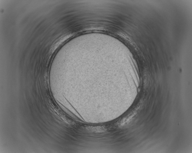 X0000062601121200601181557