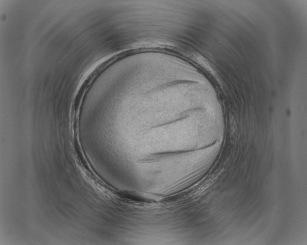 X0000062601124200601181557