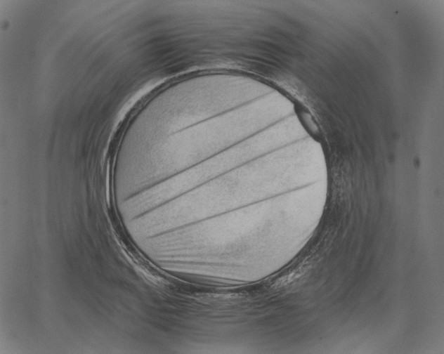 X0000062601127200601181558