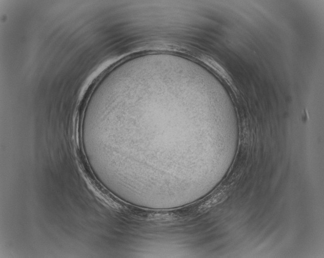 X0000062601128200601181558