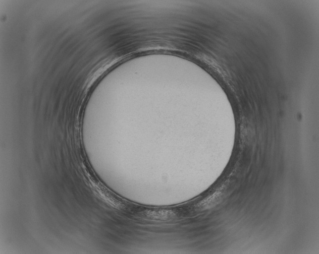 X0000062601129200601181558