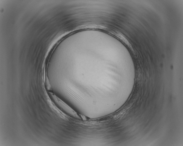 X0000062601132200601181558
