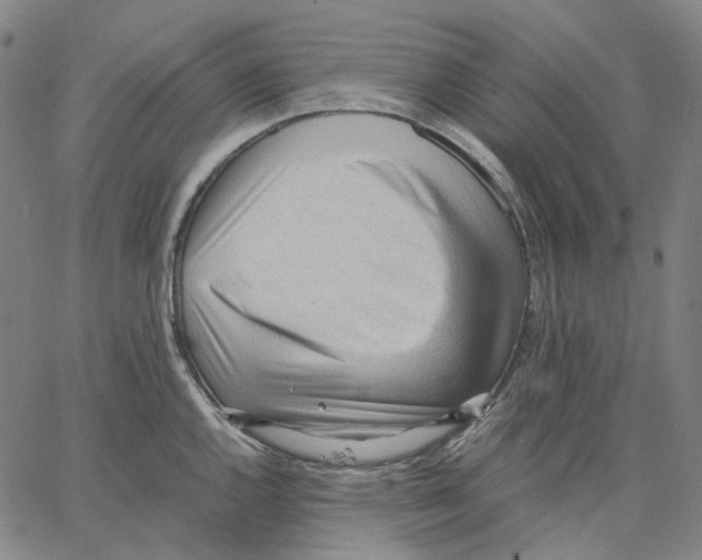 X0000062601144200601181558