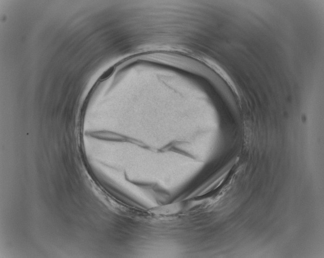 X0000062601148200601181558