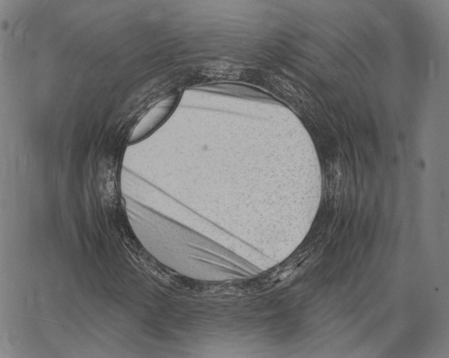 X0000062601154200601181557