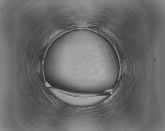 X0000062601161200601181557