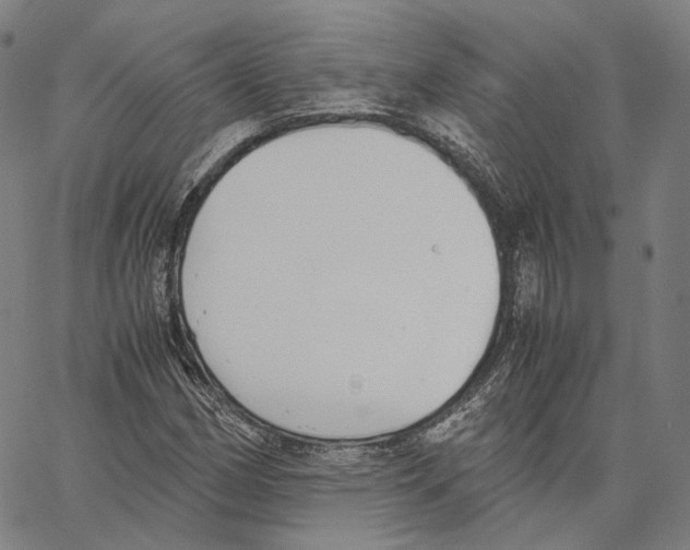 X0000062601162200601181557