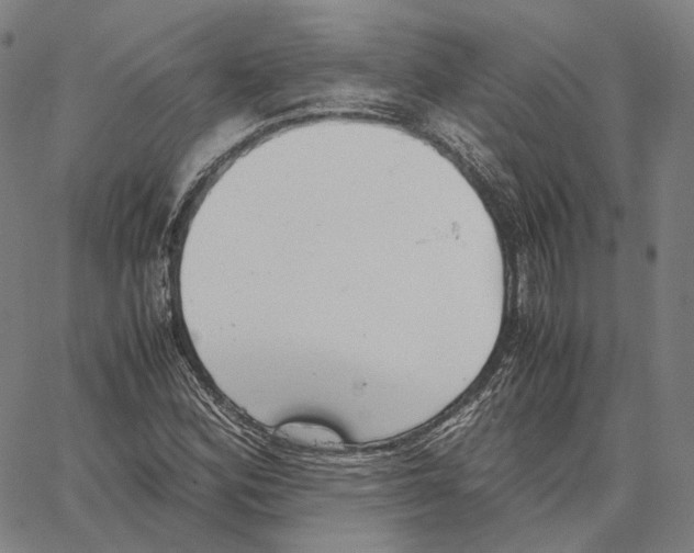 X0000062601164200601181557