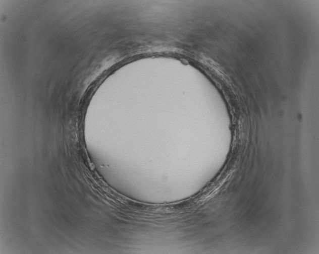 X0000062601165200601181557