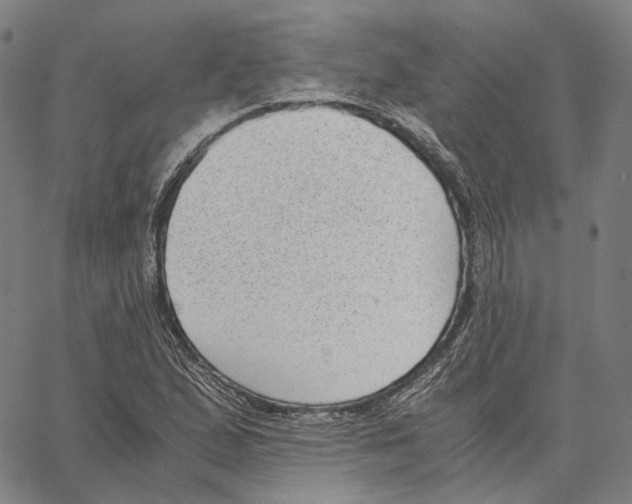 X0000062601167200601181557